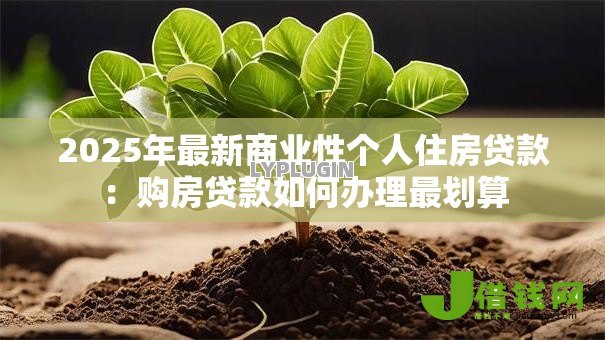 2025年最新商业性个人住房贷款：购房贷款如何办理最划算