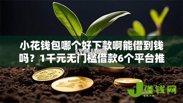 小花钱包哪个好下款啊能借到钱吗？1千元无门槛借款6个平台推荐