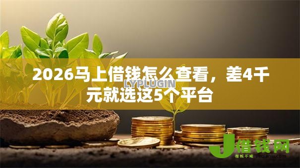 2026马上借钱怎么查看,差4千元就选这5个平台 2026马上借钱怎么查看,差4千元就选这5个平台