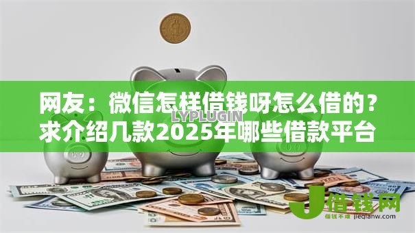 网友:微信怎样借钱呀怎么借的?求介绍几款2025年哪些借款平台不查征信大数据 网友:微信怎样借钱呀怎么借的?求介绍几款2025年哪些借款平台不查征信大数据
