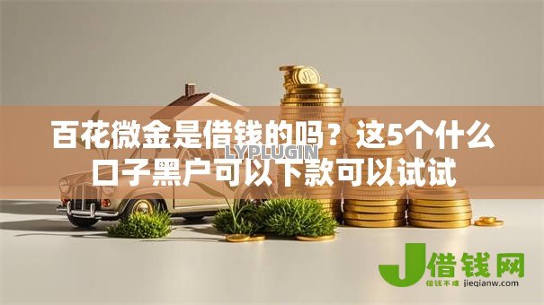百花微金是借钱的吗？这5个什么口子黑户可以下款可以试试