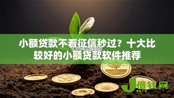 小额贷款不看征信秒过？十大比较好的小额贷款软件推荐
