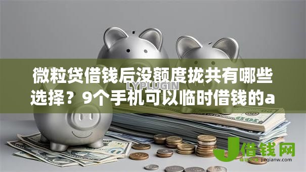 微粒贷借钱后没额度拢共有哪些选择?9个手机可以临时借钱的app详解 微粒贷借钱后没额度拢共有哪些选择?9个手机可以临时借钱的app详解