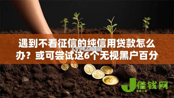 遇到不看征信的纯信用贷款怎么办？或可尝试这6个无视黑户百分百下款平台