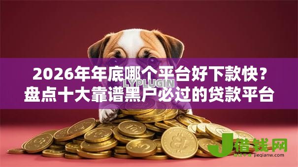 2026年年底哪个平台好下款快?盘点十大靠谱黑户必过的贷款平台 2026年年底哪个平台好下款快?盘点十大靠谱黑户必过的贷款平台