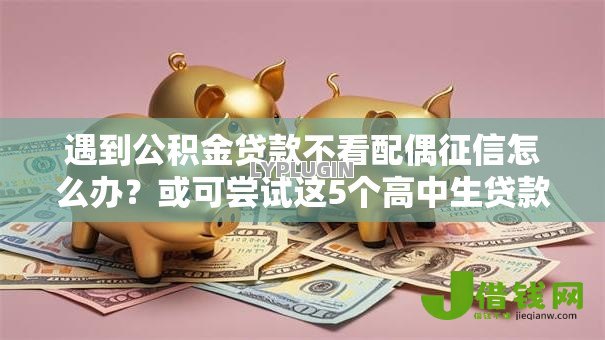 遇到公积金贷款不看配偶征信怎么办?或可尝试这5个高中生贷款平台 遇到公积金贷款不看配偶征信怎么办?或可尝试这5个高中生贷款平台