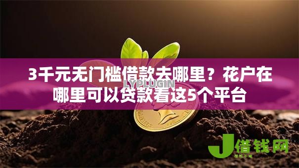 3千元无门槛借款去哪里?花户在哪里可以贷款看这5个平台 3千元无门槛借款去哪里?花户在哪里可以贷款看这5个平台