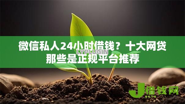 微信私人24小时借钱？十大网贷那些是正规平台推荐