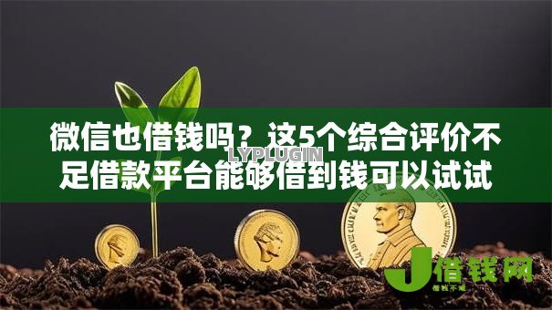 微信也借钱吗？这5个综合评价不足借款平台能够借到钱可以试试