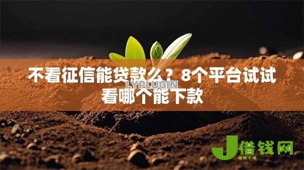 不看征信能贷款么？8个平台试试看哪个能下款