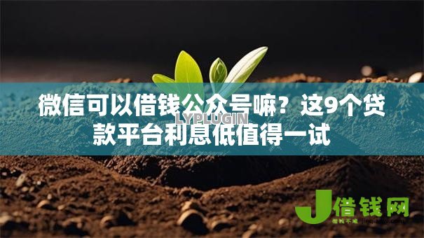 微信可以借钱公众号嘛？这9个贷款平台利息低值得一试