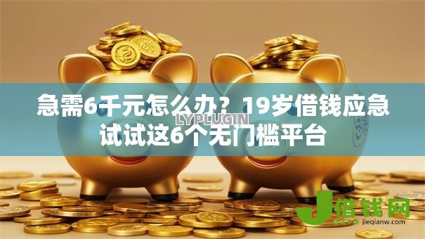 急需6千元怎么办?19岁借钱应急试试这6个无门槛平台 急需6千元怎么办?19岁借钱应急试试这6个无门槛平台