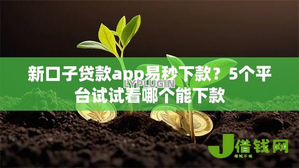 新口子贷款app易秒下款?5个平台试试看哪个能下款 新口子贷款app易秒下款?5个平台试试看哪个能下款