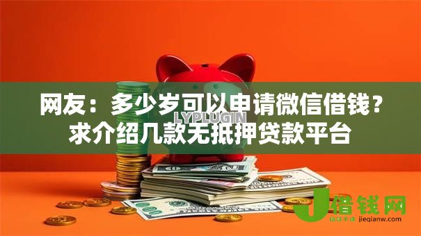 网友：多少岁可以申请微信借钱？求介绍几款无抵押贷款平台