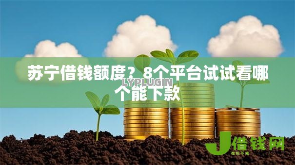 苏宁借钱额度？8个平台试试看哪个能下款