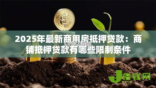 2025年最新商用房抵押贷款:商铺抵押贷款有哪些限制条件 2025年最新商用房抵押贷款:商铺抵押贷款有哪些限制条件