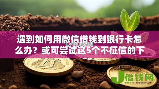 遇到如何用微信借钱到银行卡怎么办？或可尝试这5个不征信的下款平台看