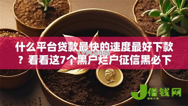 什么平台贷款最快的速度最好下款？看看这7个黑户烂户征信黑必下款的口子怎么样