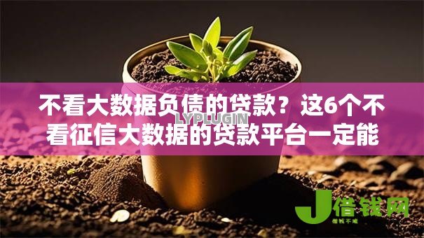 不看大数据负债的贷款?这6个不看征信大数据的贷款平台一定能下款可以试试 不看大数据负债的贷款?这6个不看征信大数据的贷款平台一定能下款可以试试