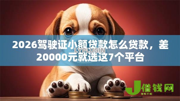 2026驾驶证小额贷款怎么贷款，差20000元就选这7个平台