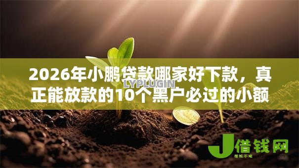 2026年小鹏贷款哪家好下款,真正能放款的10个黑户必过的小额平台推荐 2026年小鹏贷款哪家好下款,真正能放款的10个黑户必过的小额平台推荐