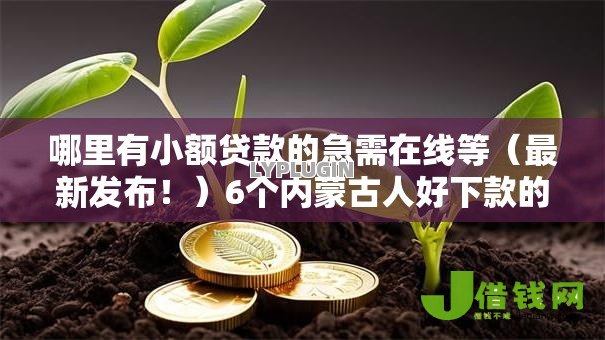 哪里有小额贷款的急需在线等（最新发布！）6个内蒙古人好下款的平台