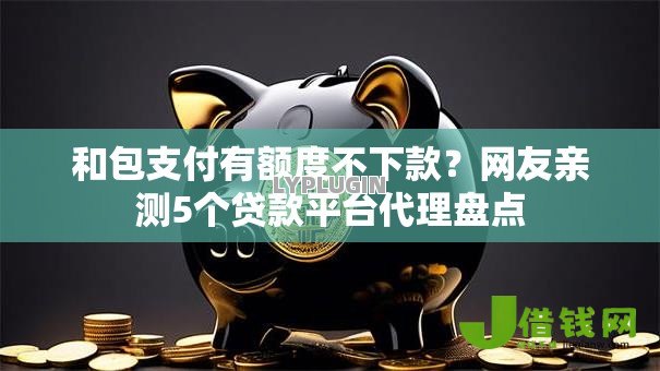 和包支付有额度不下款？网友亲测5个贷款平台代理盘点