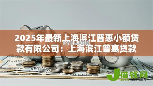 2025年最新上海滨江普惠小额贷款有限公司：上海滨江普惠贷款服务如何申请