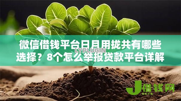 微信借钱平台日月用拢共有哪些选择?8个怎么举报贷款平台详解 微信借钱平台日月用拢共有哪些选择?8个怎么举报贷款平台详解