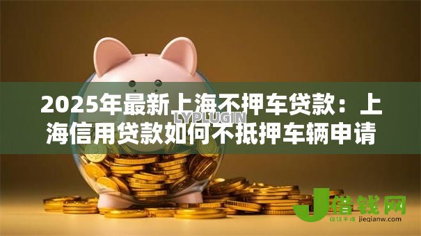 2025年最新上海不押车贷款：上海信用贷款如何不抵押车辆申请