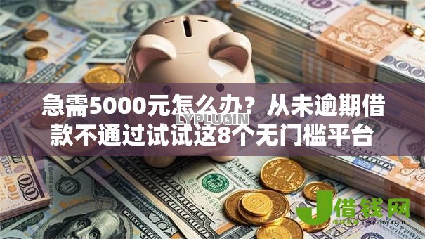 急需5000元怎么办？从未逾期借款不通过试试这8个无门槛平台
