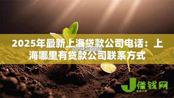 2025年最新上海贷款公司电话:上海哪里有贷款公司联系方式 2025年最新上海贷款公司电话:上海哪里有贷款公司联系方式