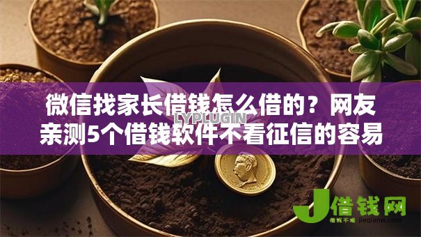 微信找家长借钱怎么借的？网友亲测5个借钱软件不看征信的容易下款的盘点
