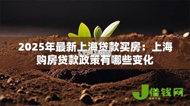2025年最新上海贷款买房:上海购房贷款政策有哪些变化 2025年最新上海贷款买房:上海购房贷款政策有哪些变化