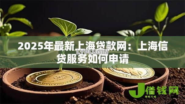 2025年最新上海贷款网：上海信贷服务如何申请