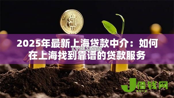 2025年最新上海贷款中介:如何在上海找到靠谱的贷款服务 2025年最新上海贷款中介:如何在上海找到靠谱的贷款服务