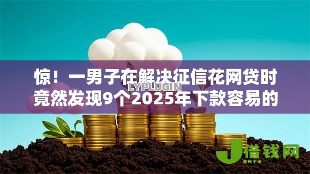 惊！一男子在解决征信花网贷时竟然发现9个2025年下款容易的平台，事后分享了出来