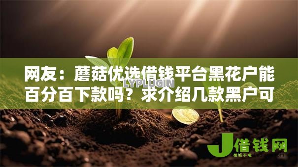 网友：蘑菇优选借钱平台黑花户能百分百下款吗？求介绍几款黑户可快速办理小额贷款业务的口子