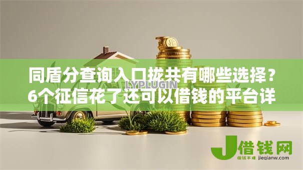 同盾分查询入口拢共有哪些选择?6个征信花了还可以借钱的平台详解 同盾分查询入口拢共有哪些选择?6个征信花了还可以借钱的平台详解