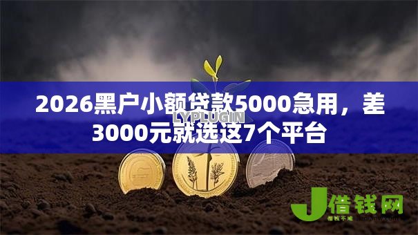 2026黑户小额贷款5000急用,差3000元就选这7个平台 2026黑户小额贷款5000急用,差3000元就选这7个平台