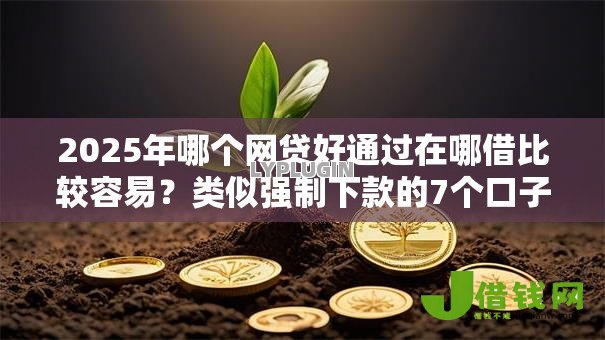 2025年哪个网贷好通过在哪借比较容易？类似强制下款的7个口子参考