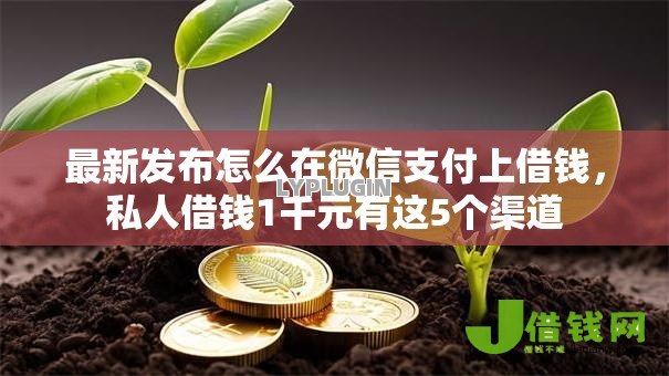 最新发布怎么在微信支付上借钱,私人借钱1千元有这5个渠道 最新发布怎么在微信支付上借钱,私人借钱1千元有这5个渠道