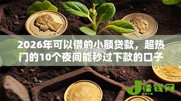 2026年可以借的小额贷款，超热门的10个夜间能秒过下款的口子推荐