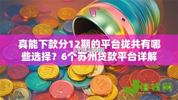 真能下款分12期的平台拢共有哪些选择？6个苏州贷款平台详解