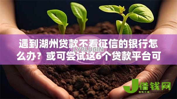 遇到湖州贷款不看征信的银行怎么办?或可尝试这6个贷款平台可靠的 遇到湖州贷款不看征信的银行怎么办?或可尝试这6个贷款平台可靠的
