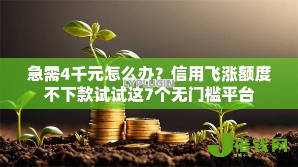急需4千元怎么办?信用飞涨额度不下款试试这7个无门槛平台 急需4千元怎么办?信用飞涨额度不下款试试这7个无门槛平台