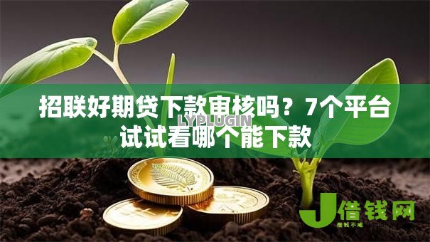 招联好期贷下款审核吗?7个平台试试看哪个能下款 招联好期贷下款审核吗?7个平台试试看哪个能下款