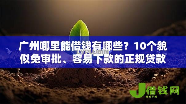 广州哪里能借钱有哪些?10个貌似免审批、容易下款的正规贷款平台合集 广州哪里能借钱有哪些?10个貌似免审批、容易下款的正规贷款平台合集