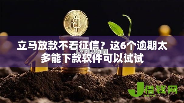 立马放款不看征信？这6个逾期太多能下款软件可以试试