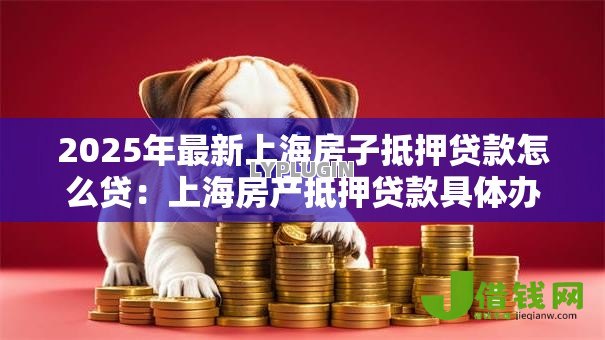 2025年最新上海房子抵押贷款怎么贷：上海房产抵押贷款具体办理步骤有哪些
